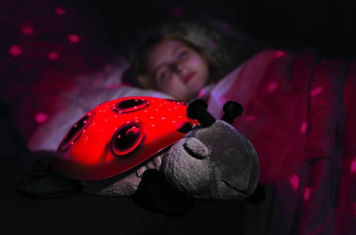 Produktbild Cloud B Twilight Ladybug Classic