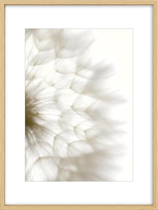 Produktbild Intertrading Brasil