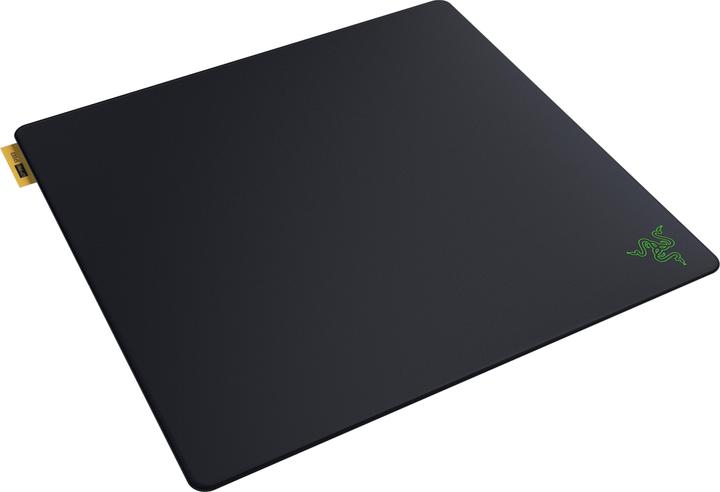 Actual product image Razer Gigantus V2 Pro L - Speed