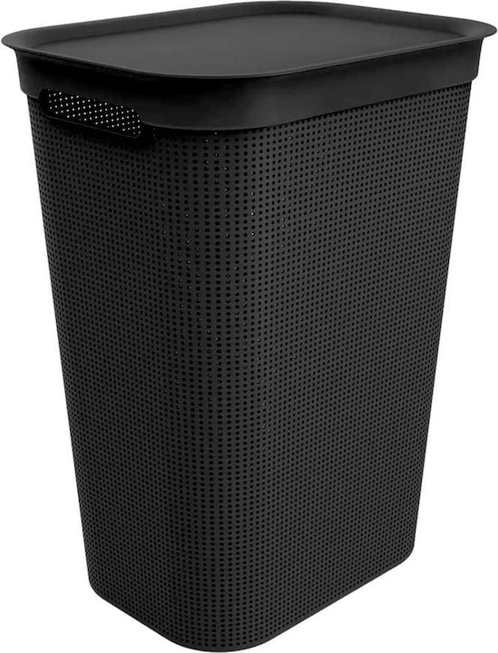 Immagine prodotto Rotho Brisen (50 l)