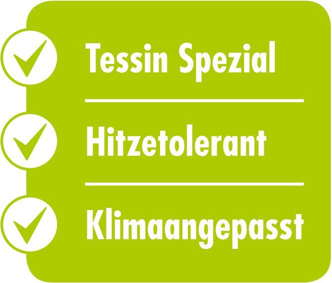 Image du produit Schweizer Miscela Ticinese Special (Réensemencement de la pelouse)