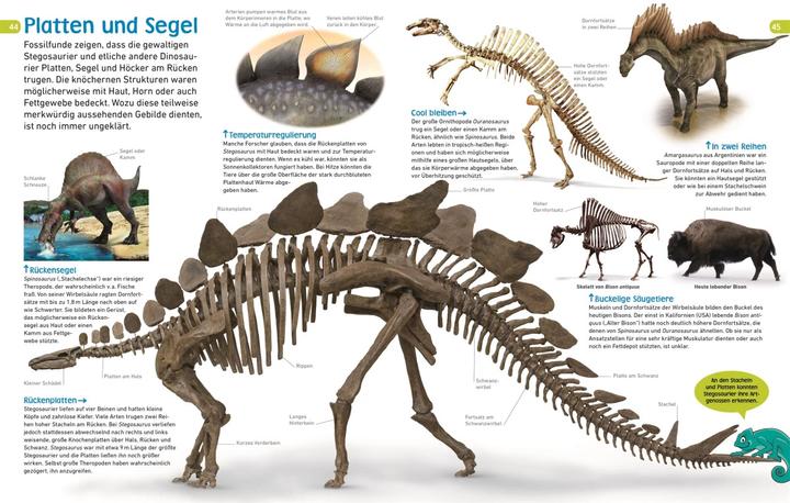 Produktbild memo Wissen entdecken. Dinosaurier (Deutsch, Dorling Kindersley, 2018)