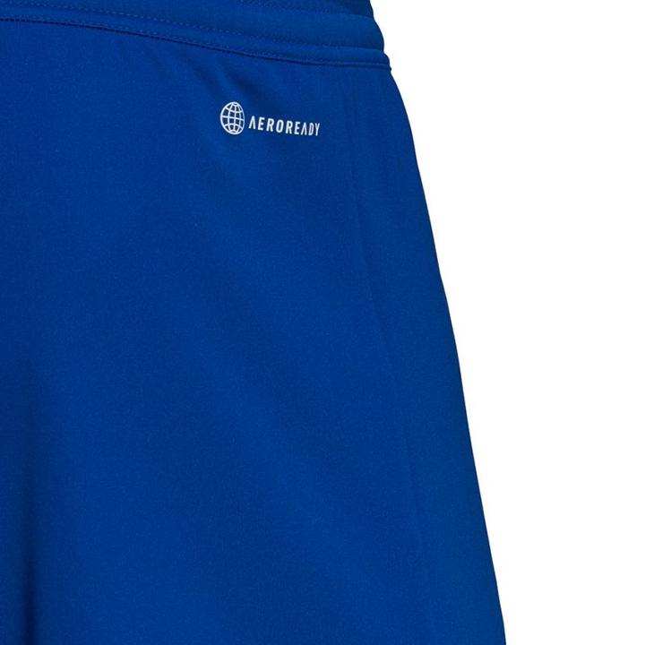 Actual product image Adidas Entrada 22 Shorts Men (S)