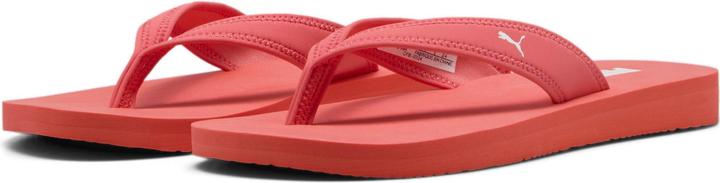 Actual product image Puma Sandy Flip (35.5)