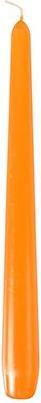Productafbeelding Papstar 10393 Waskaars rond (e) (50 Pcs.)