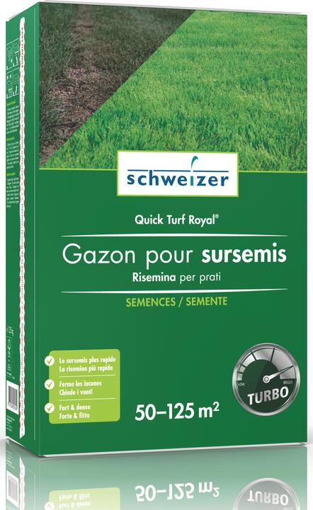 Actual product image Schweizer Quick Turf Royal (Lawn reseed)