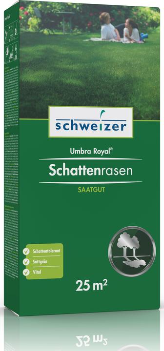 Immagine prodotto Schweizer Umbra Royal (Risemina del prato)