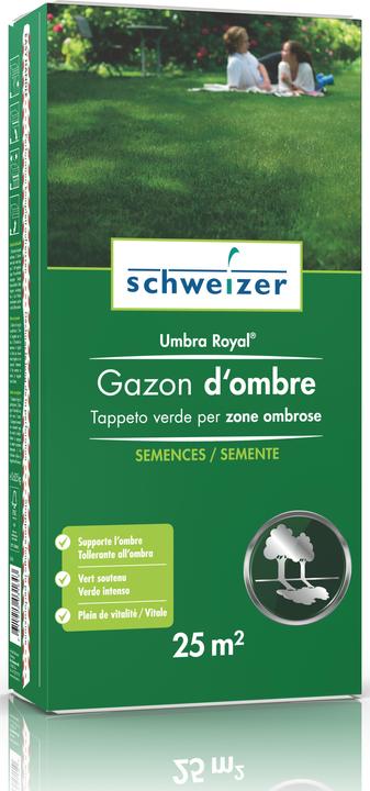 Immagine prodotto Schweizer Umbra Royal (Risemina del prato)