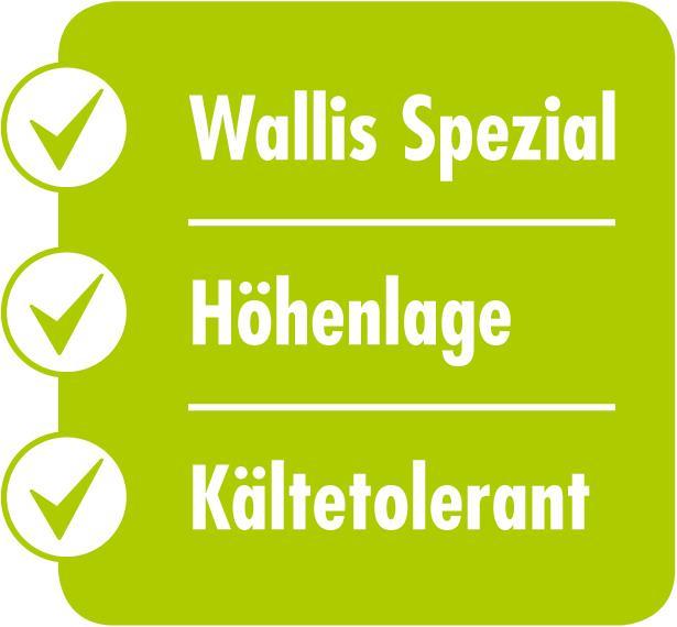 Produktbild Schweizer 13 Stern Höhenlage (Rasensamen)