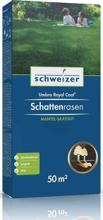 Schweizer Umbra Royal Coat (Rasensamen)