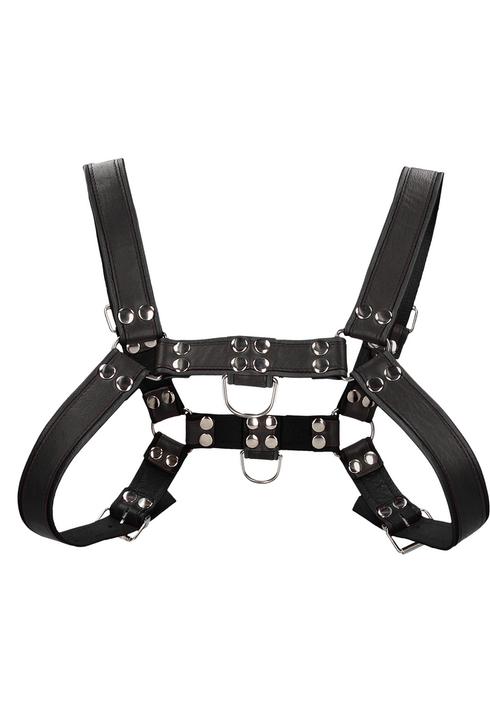 Actual product image Ouch! Chest Bulldog Harness (M, S)