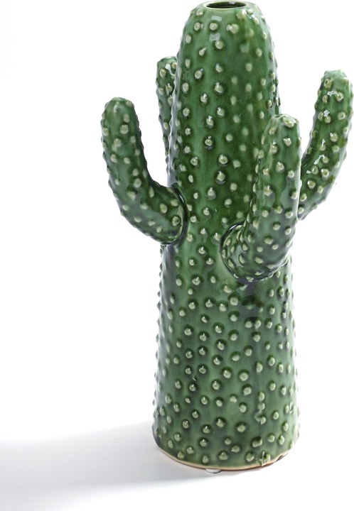 Image du produit Serax Cactus Moyen (1 x)