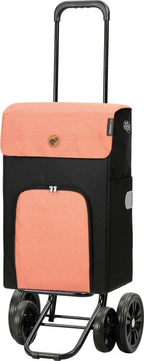 Actual product image Andersen Quattro Shopper Ipek Ib shopping trolley 57 cm