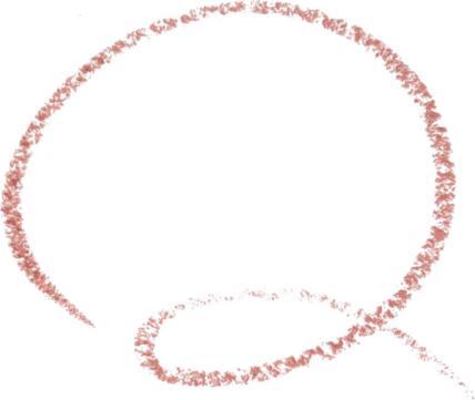 Actual product image essence soft & precise LIP PENCIL (302)