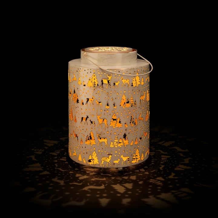 Immagine prodotto STT Aura winter