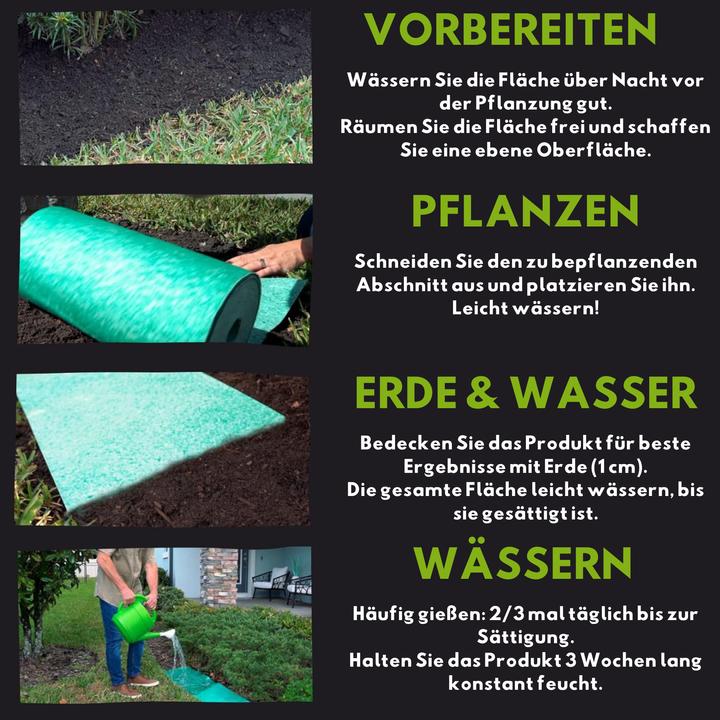Actual product image Starlyf Grass Seed Mat (Plant seeds)