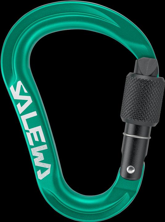 Salewa Ortles Hms S Carabiner