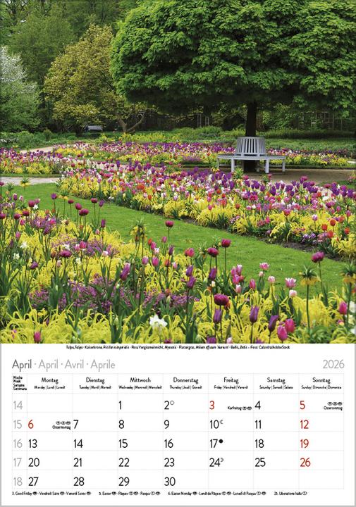 Produktbild Bltenzauber 2026