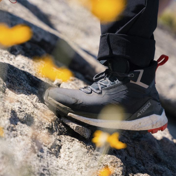 Image du produit adidas Terrex Free Hiker 2 GTX (41)