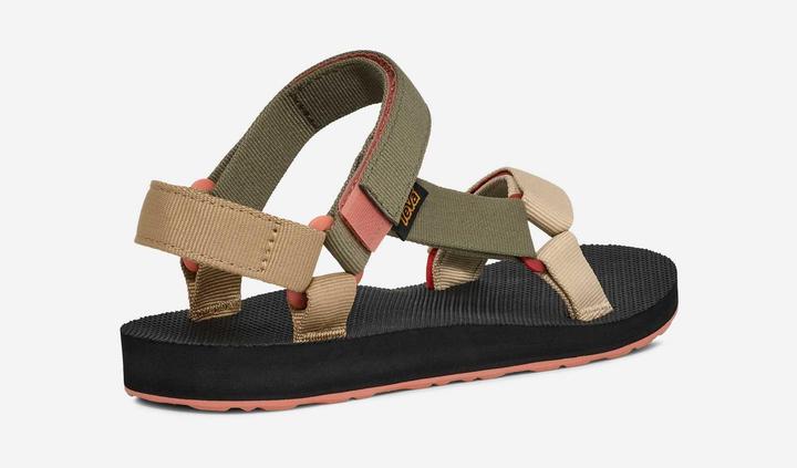 Burnt Olive Multi