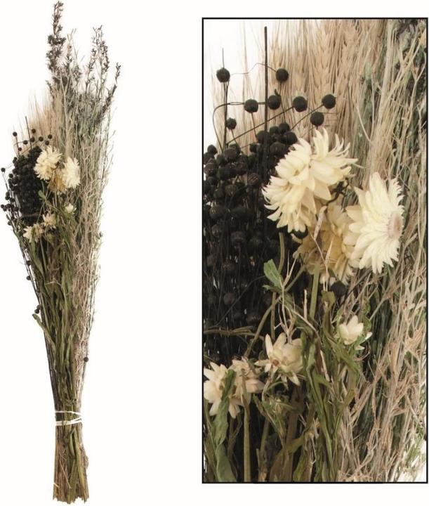 Image du produit Dijk Bouquet de fleurs séchées (Fleurs séchées, 1x)