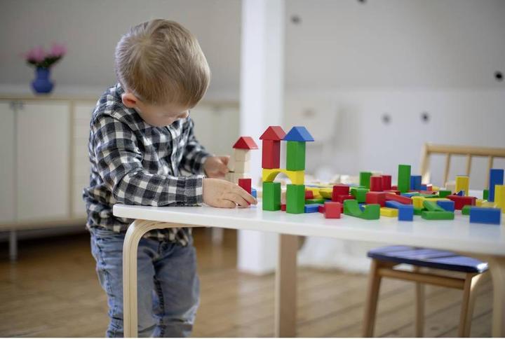 Actual product image Eichhorn Building blocks