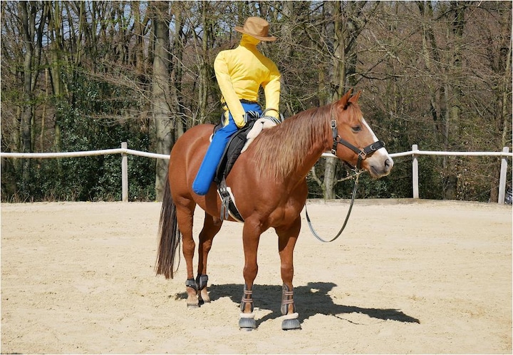 Actual product image Dönges Horse riding dummy Pferdinand