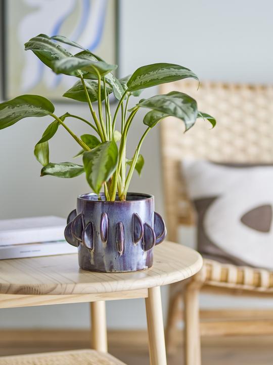 Image du produit Bloomingville Roza (18 x 13 cm)