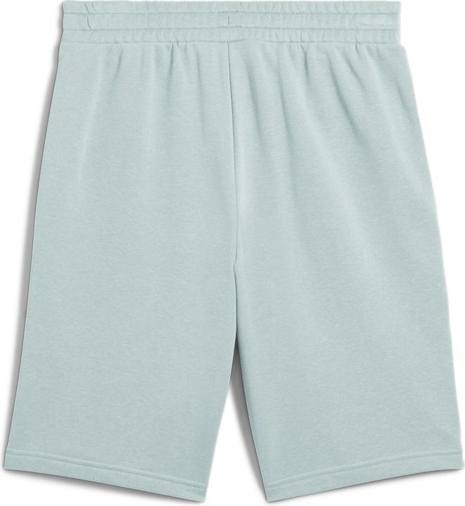 Image du produit Puma ESS 2 COLOR No. 1 Logo Shorts 10" TR (XL)