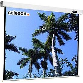 Celexon Mobile Expert Folding Frame Screen - Leinwand (99.61", 4:3), Leinwand, Schwarz, Weiss