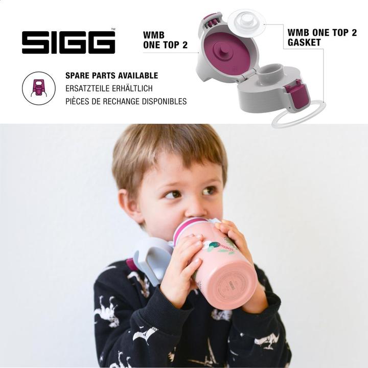 Image du produit Sigg Shield One (0.50 l)