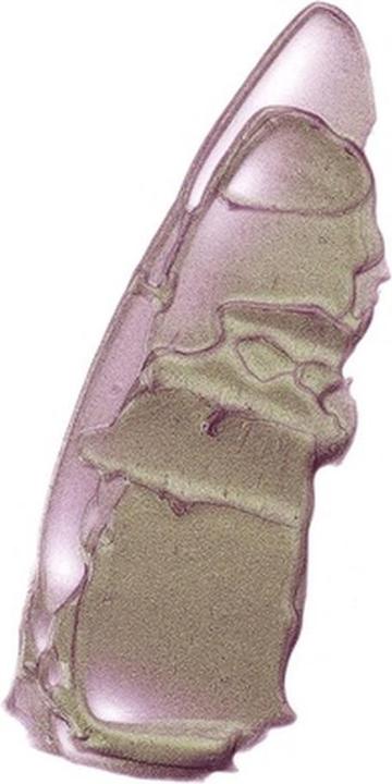 Actual product image Maybelline New York Electric Shine Lipgloss 155 Moonlit Metal 5ml (Moonlit Metal)