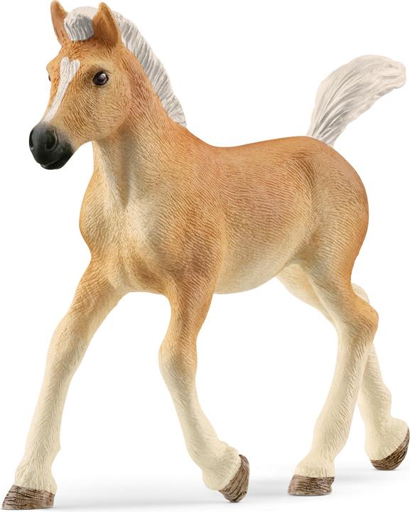Produktbild Schleich Haflinger Fohlen