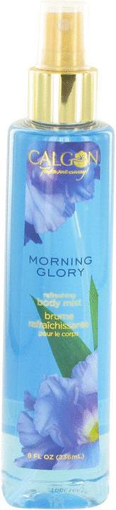 Actual product image Calgon Take Me Away Morning Glory (240 ml)