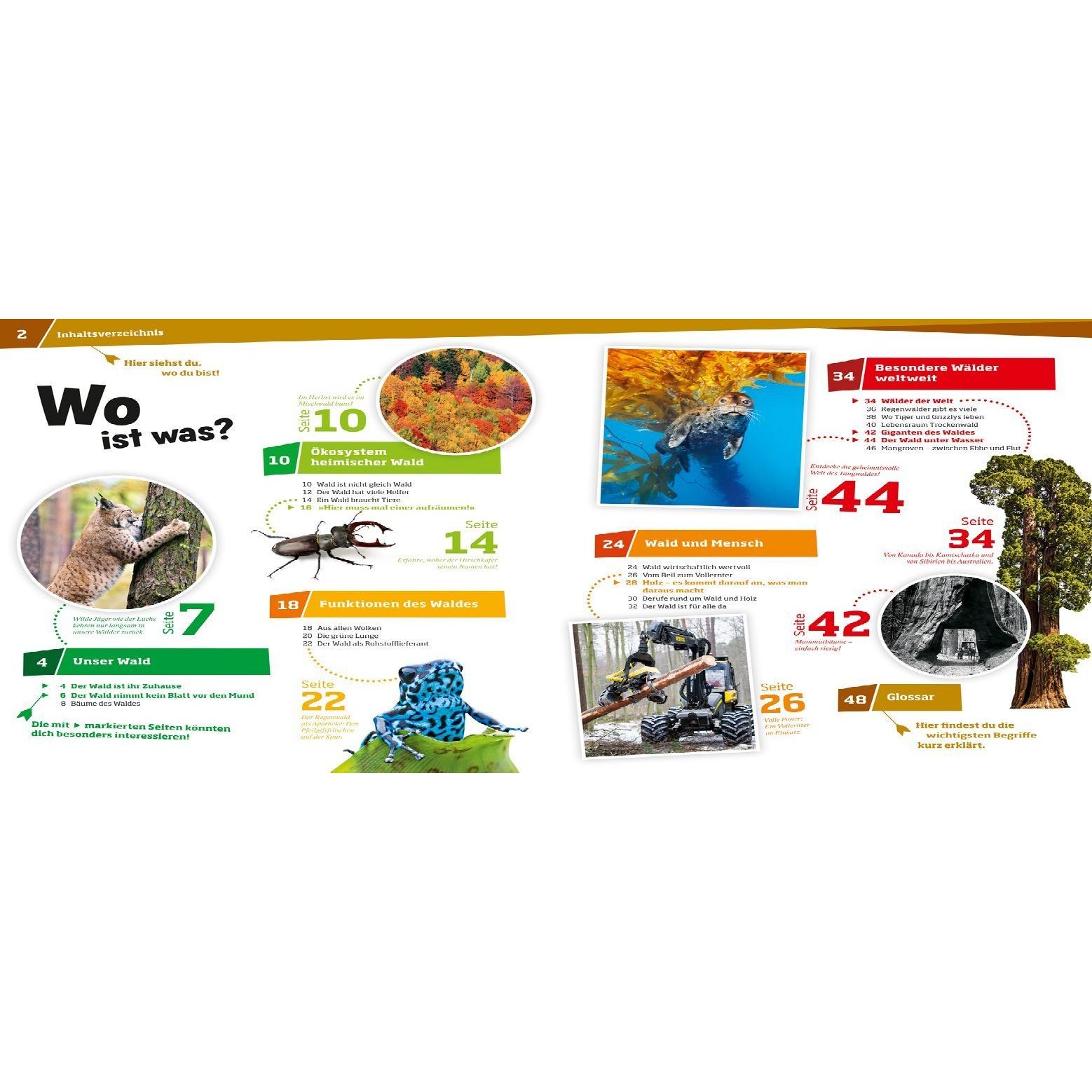 Thumbnail - Wald, Kinderbücher von Annette Hackbarth
