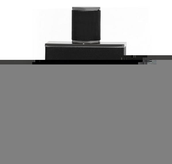 Image du produit Vince Camuto Original (Eau de toilette, 100 ml)