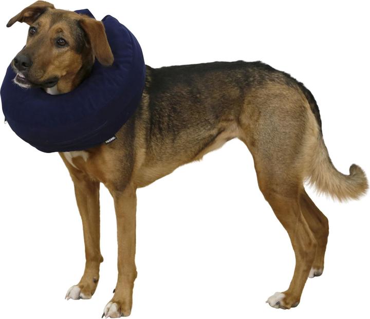 Actual product image Kerbl Dog collar, inflatable dog collar, 3 gr neck circumference 18-50cm (18-30cm) (Dog)