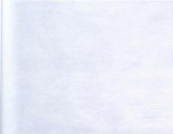 Image du produit Santex Chemin de table en blanc (10m)
