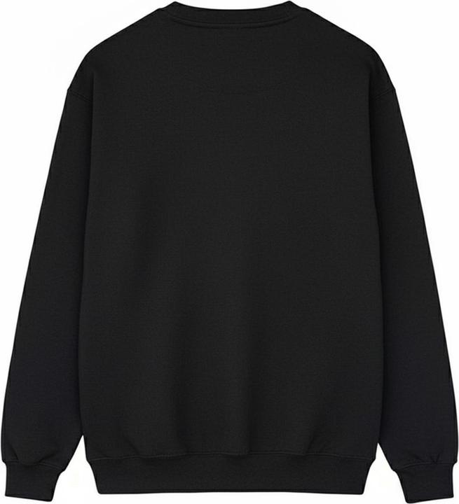 Image du produit Star Wars - Sweat GALAXY DAD - Homme (L)