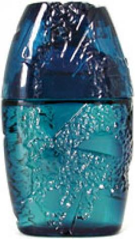 Image du produit Guy Laroche Horizon (Lotion après-rasage, 100 ml)