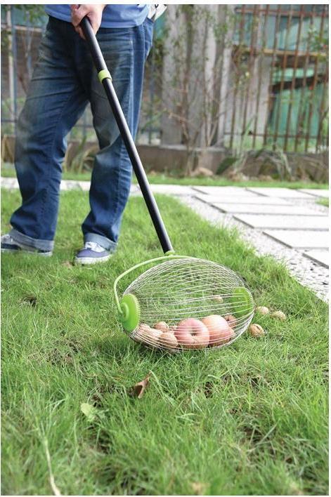 Image du produit Freund Victoria Collecteur de noix et de fruits