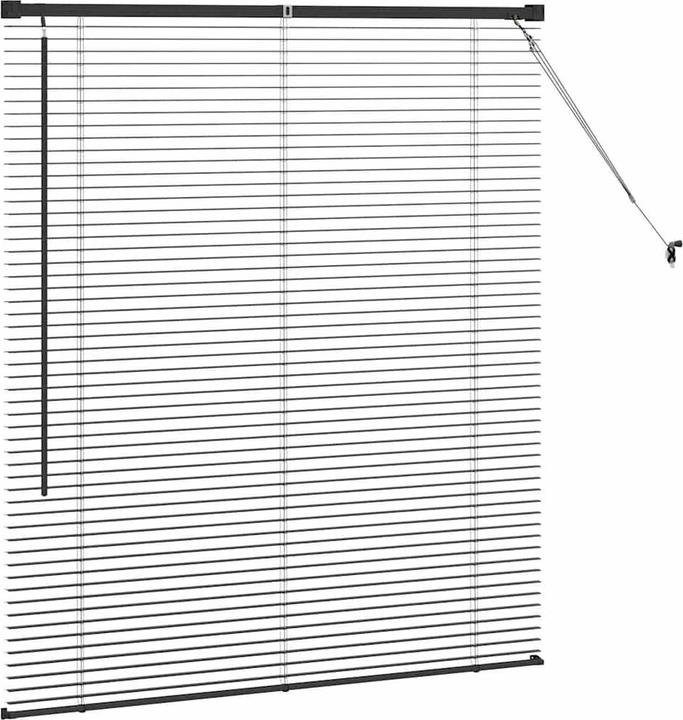 Immagine prodotto VidaXL Tende per finestre (110 x 130 cm)