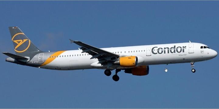 Produktbild 1:144 Airbus A321ceo