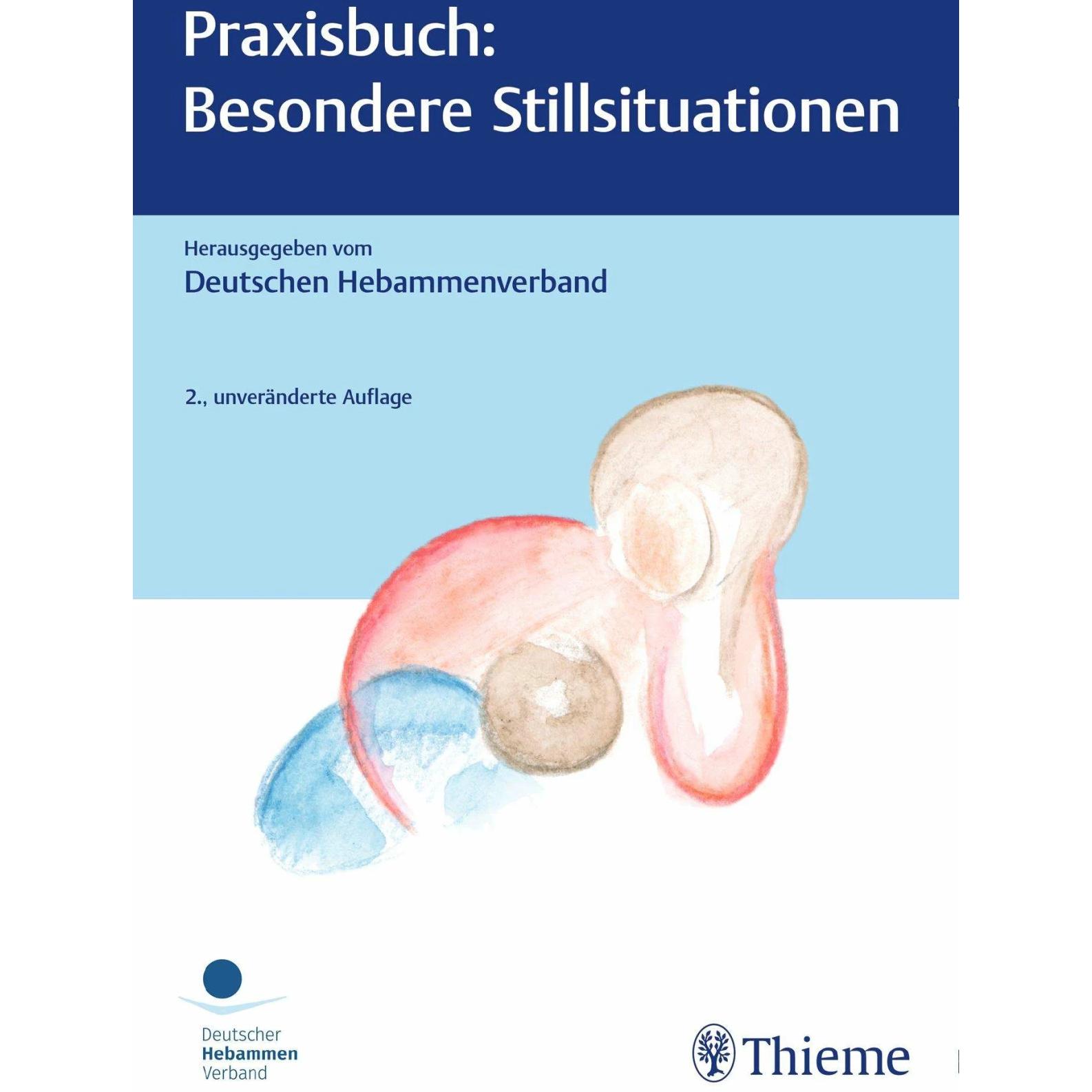 Praxisbuch: Besondere Stillsituationen, Fachbücher von Deutscher Hebammenverband e.V.