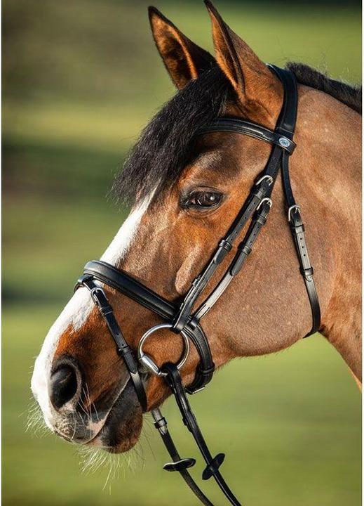 Produktbild HFI Master Soft