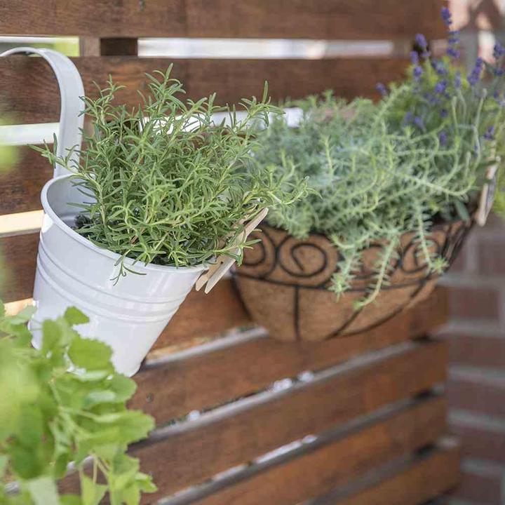 Produktbild Siena Garden Pflanzgefäss (16 cm)