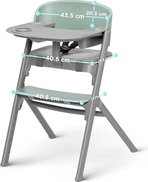 Actual product image KinderKraft High chair LIVY pink (Highchair)