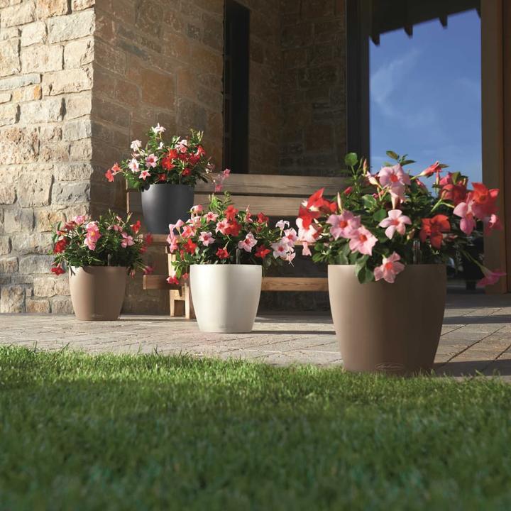 Image du produit Lechuza Classico Color (42 x 39.50 cm)