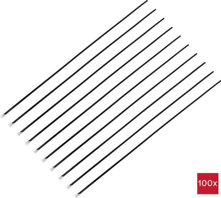 Immagine prodotto Tru Components TC-12656604 Fascetta in acciaio 520 mm 4,6 mm AISI 316 con rivestimento (520 mm, 100 pz.)