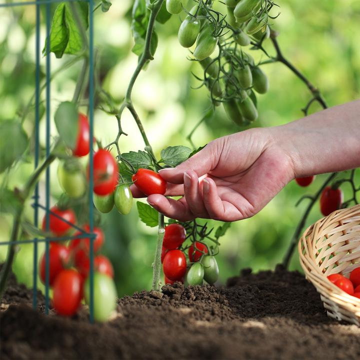 Actual product image Relaxdays 3x climbing aid